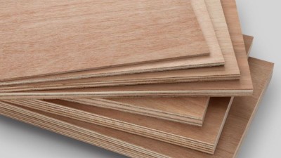 Gỗ ép là gì?  Lợi ích và ứng dụng của gỗ ván ép