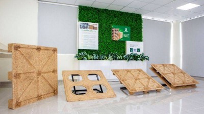 Hướng Dẫn Chọn Pallet Xuất Khẩu Chuẩn ISPM-15: Gỗ hay Nhựa, Kích thước Hướng Dẫn Chọn Pallet Xuất Khẩu Chuẩn ISPM-15: Gỗ hay Nhựa, Kích thước