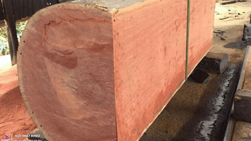 gỗ nào bền nhất