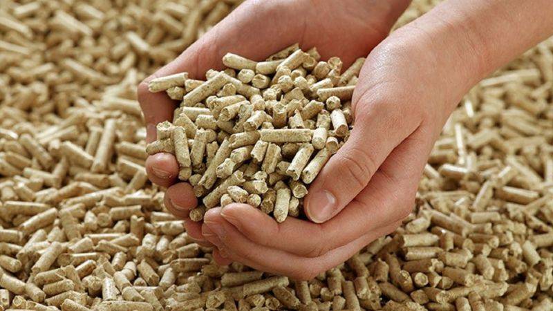 mùn cưa gỗ là gì