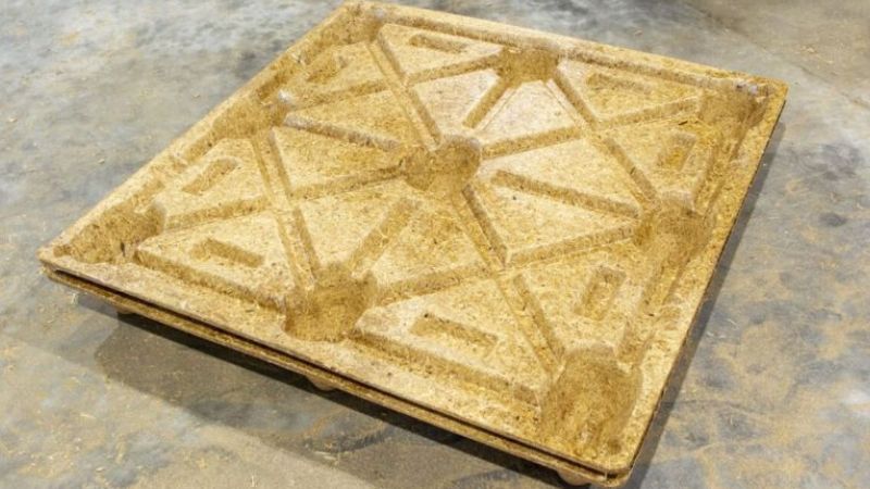 pallet chống cháy