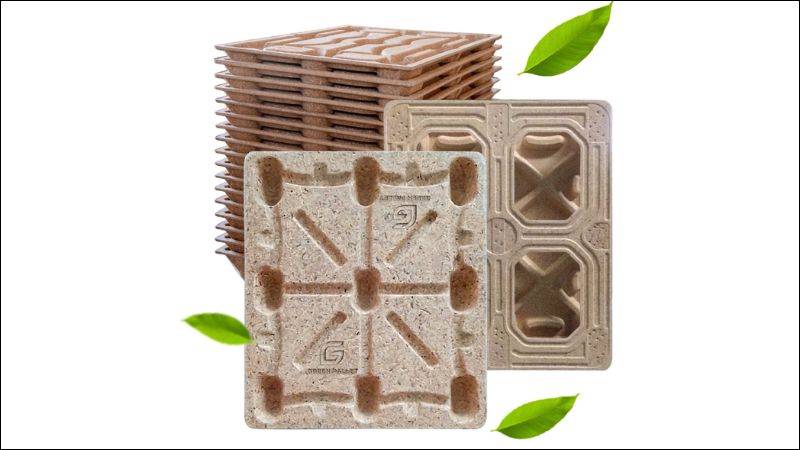 pallet thân thiện môi trường